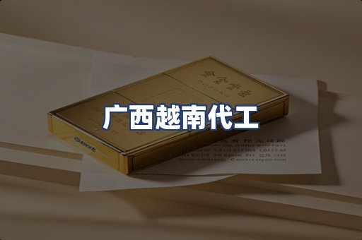 广西越南代工